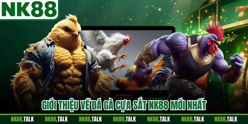 Giới thiệu về đá gà cựa sắt NK88 mới nhất
