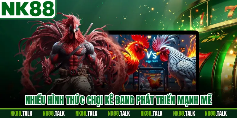 Nhiều hình thức chọi kê đang phát triển mạnh mẽ